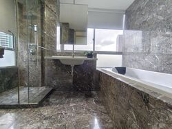 Suites @ Cairnhill (D9), Apartment #607120011